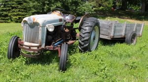 Oldtimer Traktor Reifen - Reifen Mielke in Delbrück